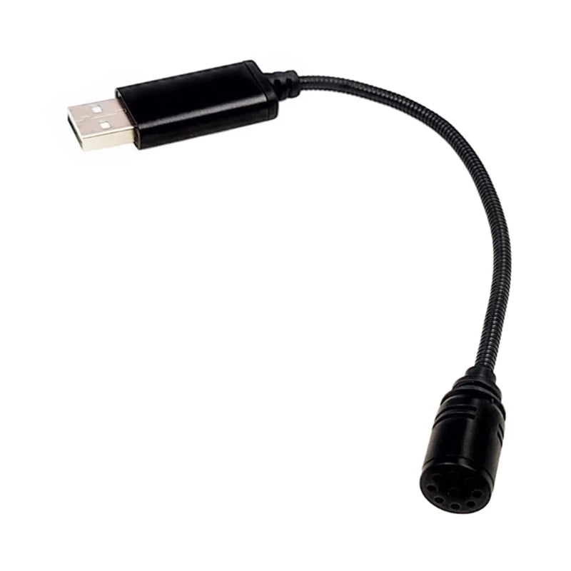 Mini USB Microphone