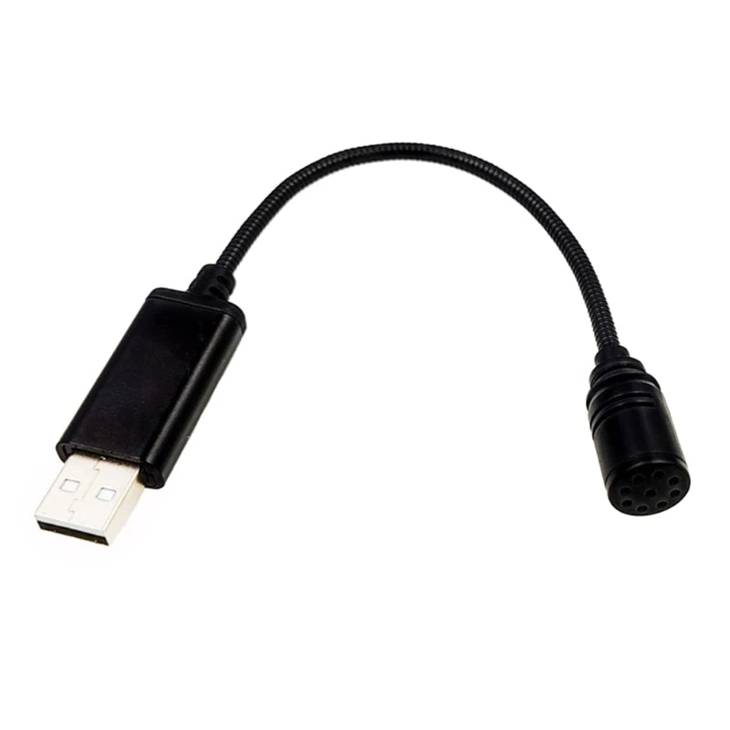 Mini USB Microphone